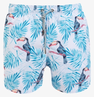 Toucan V=1502132011 - Zazzle Graues Toucan Sleeve Für Ipads
