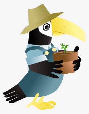 This Free Icons Png Design Of Toucan In The Garden