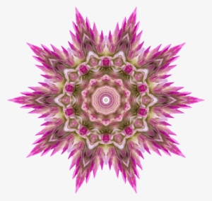 This Free Icons Png Design Of Wildflower Kaleidoscope
