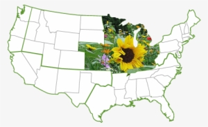 United States Of America