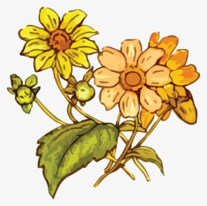 Free Clipart Of A Flowering Plant - Yellow Flower Drawing Png