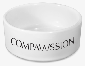 Pact By Jodi Picoult