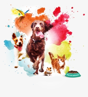 Sign Up For Event News And Updates - Pet Events