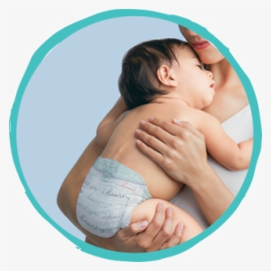 Cover Image - Size 3 Pampers Pure