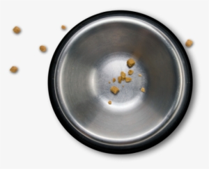 Dog Bowl Png - Portable Network Graphics