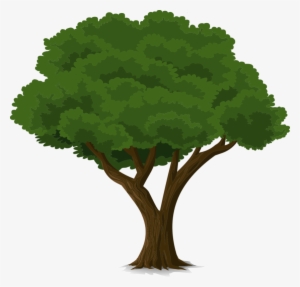 Community Tree Planting Grants For Uk And Africa - Cây Vector