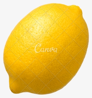 Svg Single Fresh Shiny Photos By Canva - Canva