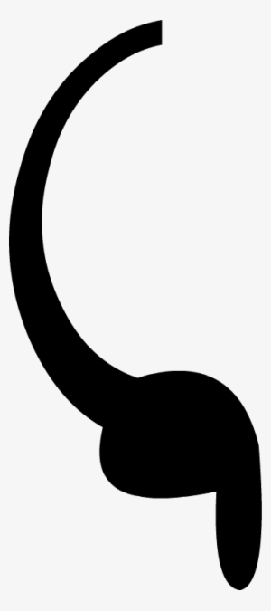 New Ii Pointing Arm - Bfdi New Ii Arm