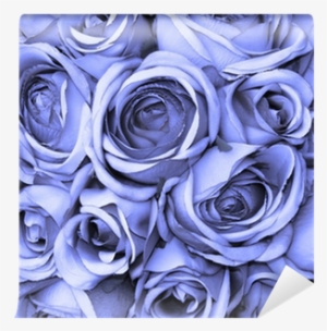 Фотообои Купить В Украине