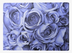 Фотообои Купить В Украине