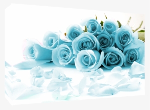 Item Specifics - Get Well Soon Pink Roses