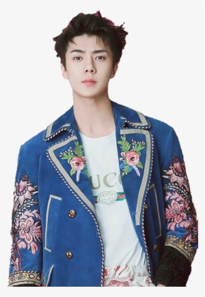 Report Abuse - Sehun