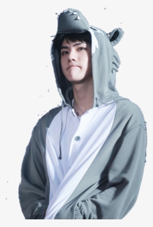 Exo, Sehun, And Kpop Image - Exo In Animal Costumes