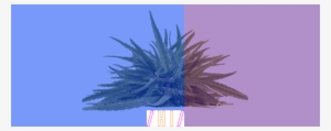Blue Purple Banner - Hemp