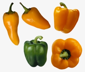 Bell Pepper