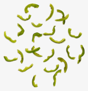 Cart - Pizza Green Pepper Png