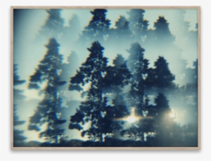 Paper Collective The Woods Poster 40 X 30 Cm.