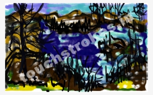 Lake In The Woods
