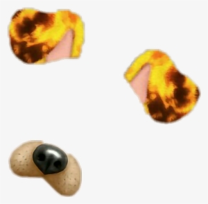 Dog Ear Png - Dog Ear And Nose Png Transparent