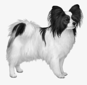 Ear Muzzle Tail - Bowers & Wilkins