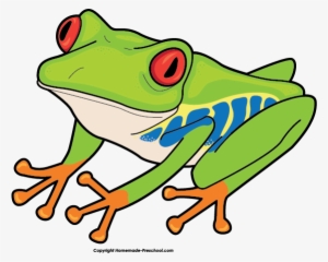 Freeuse Stock Christmas Frog Clipart - Red Eyed Tree Frog Cartoon