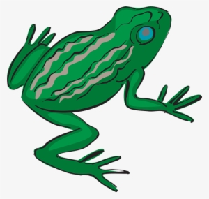 Green Frog Clipart Bull Frog - Frogs Legs Clipart