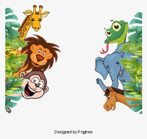 Small Animals In Tropical Rainforests, Rainforest, - Tropical Rainforest