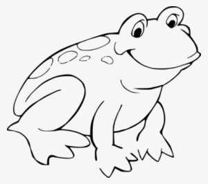 28 Collection Of Frog Clipart Black And White Png - Colouring Page Of Frog