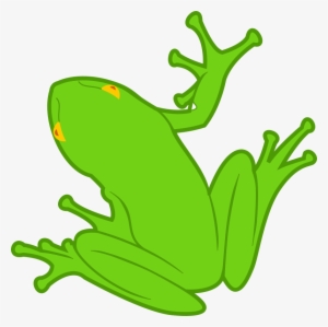 Custom Green Frog Shower Curtain