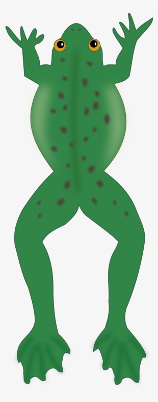 This Free Clipart Png Design Of Green Frog Clipart