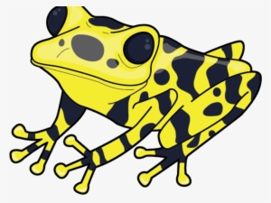 Tree Frog Clipart Poisonous - Poison Dart Frog Clip Art