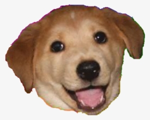 Advice Dog Png - You Did A Thing Meme