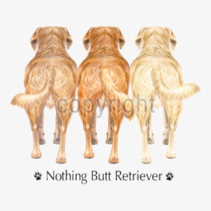 Https - //www - Retailer - Thewildside - Com/heat Transfers/cats - Dog