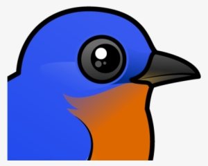 About The Eastern Bluebird - Pin-back Button