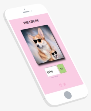 Featureimg Lifeofdoggo - Smartphone