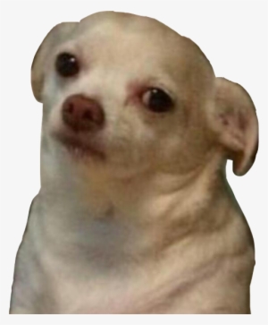 Vas A Salir Y Te Cancelan