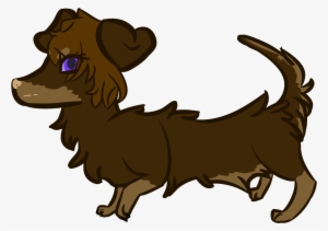 View Full Size - Dog Catches Something