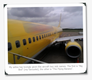 Liked It Share It - Boeing 737 Next Generation