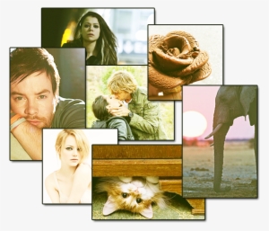 Welcome To The Kelly Clarkson Board Off Topic Thread - Shelley Hennig