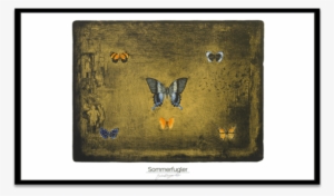 Male Quations Images With Quotes Best Testosterone - Illustration