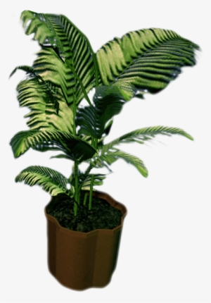 Image Rising Small Fern - Küçük Ağaç Png