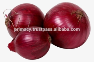 Indian Nashik 55mm Red - Red Onion