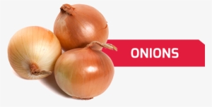 We Offer Onions Originating Mostly From Polish Farms - Onion