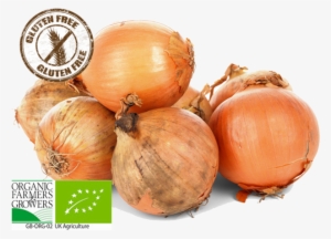 Catalog - - St Dalfour Mirabelle Plum Spread 284g