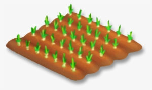 Onion Stage 1 - Hay Day Corn