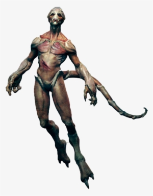 Creature Free Png Image - Creature Concept