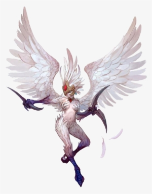Dragon Nest Sea, Character Concept, Character Art, - Yugioh Harpie Support