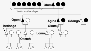 2 The Descendants Of Olum - Diagram