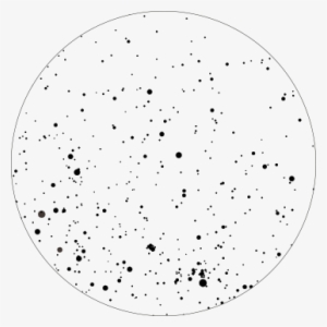 Constellation-custom - Constellation White