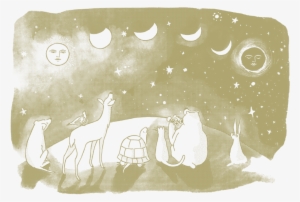 Constellations Postcard - Illustration